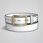 white belt with round brass buckle image